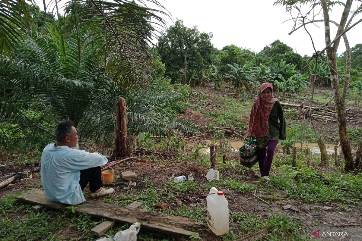 Melindungi Suku Balik  di Ibu Kota Negara Indonesia baru