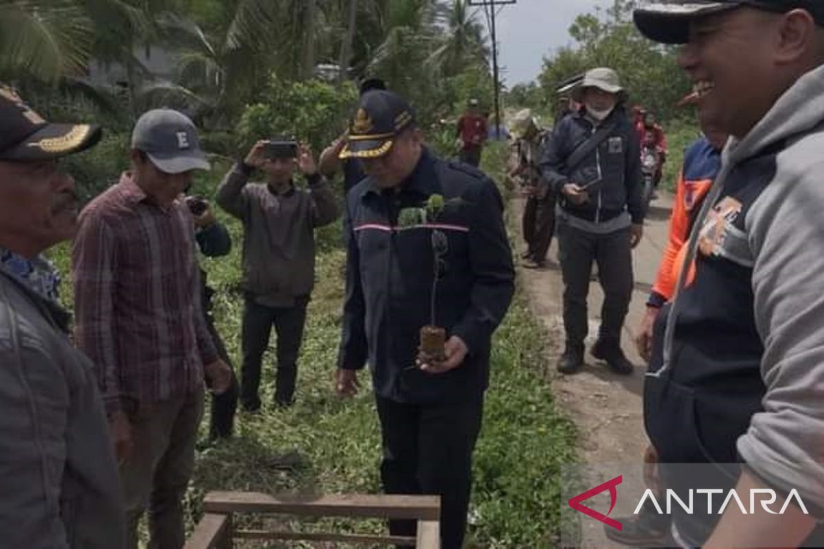 Pemkab Kubu Raya gencarkan penanaman pohon upaya melestarikan lingkungan