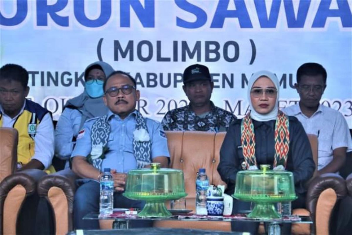 Bupati serahkan bantuan pertanian dari Pusat Rp20 miliar kepada petani Mamuju