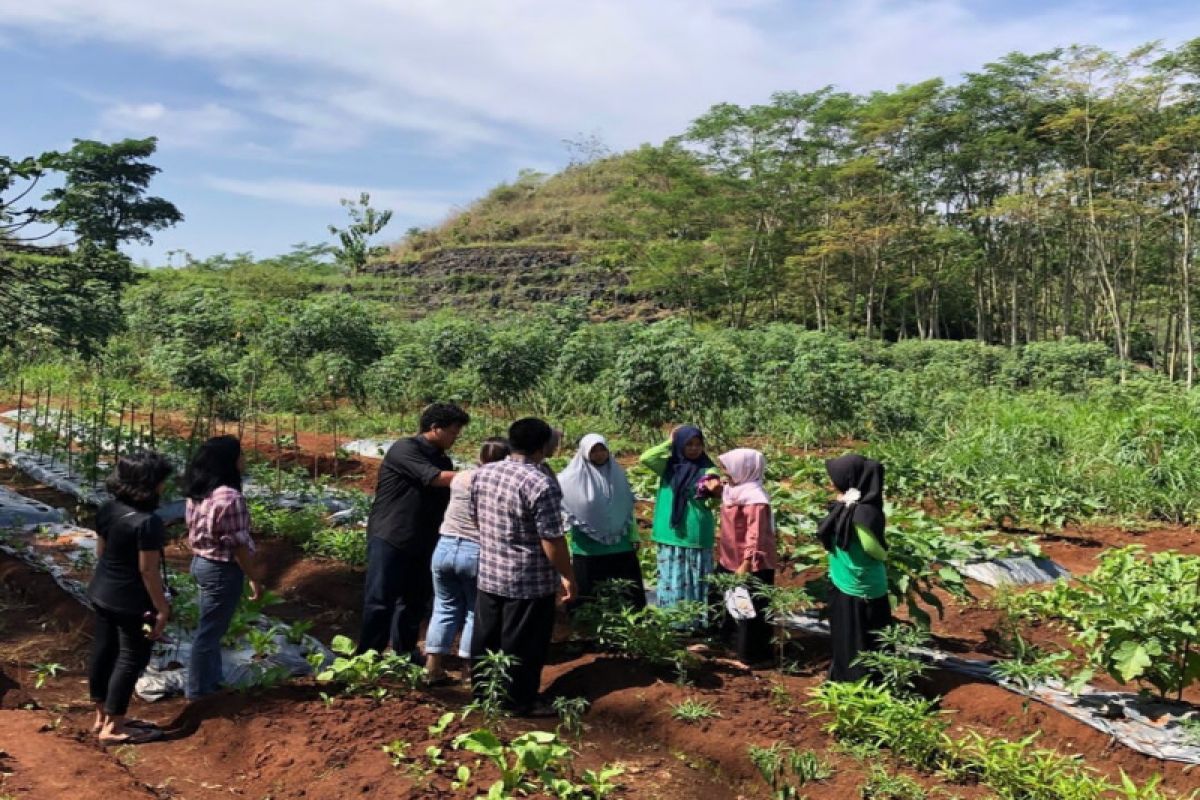 Dinas Pertanian Gunungkidul distribusikan benih kedelai kepada petani