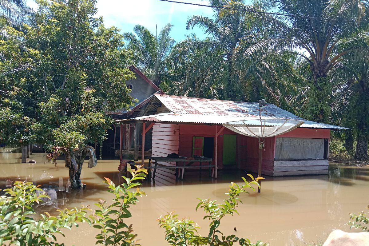 Batang Masang meluap, warga Tiku Agam khawatir diserang buaya