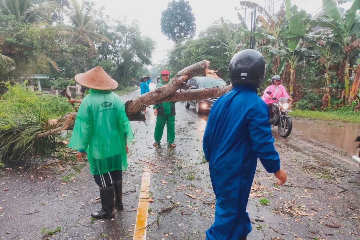 Petugas gabungan Trenggalek evakuasi pohon tumbang tutup jalan nasional