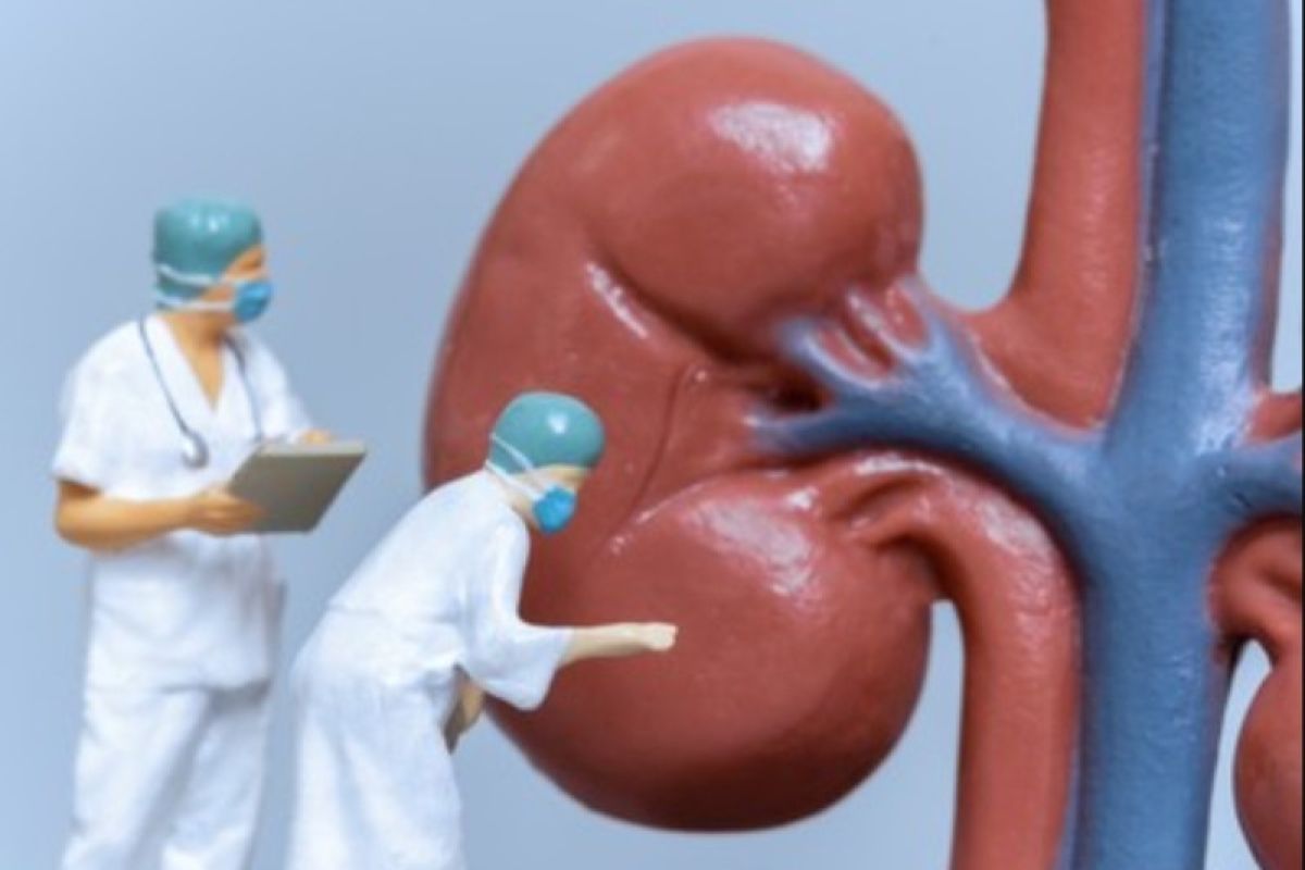 IDAI probing factors behind rapidly progressive acute kidney disorder