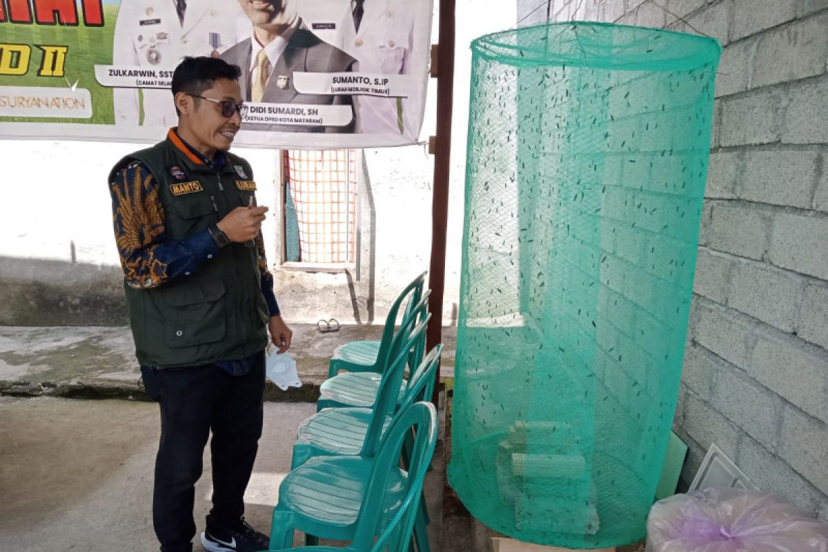 DLH Mataram kembangkan maggot di TPST modern Mandalika