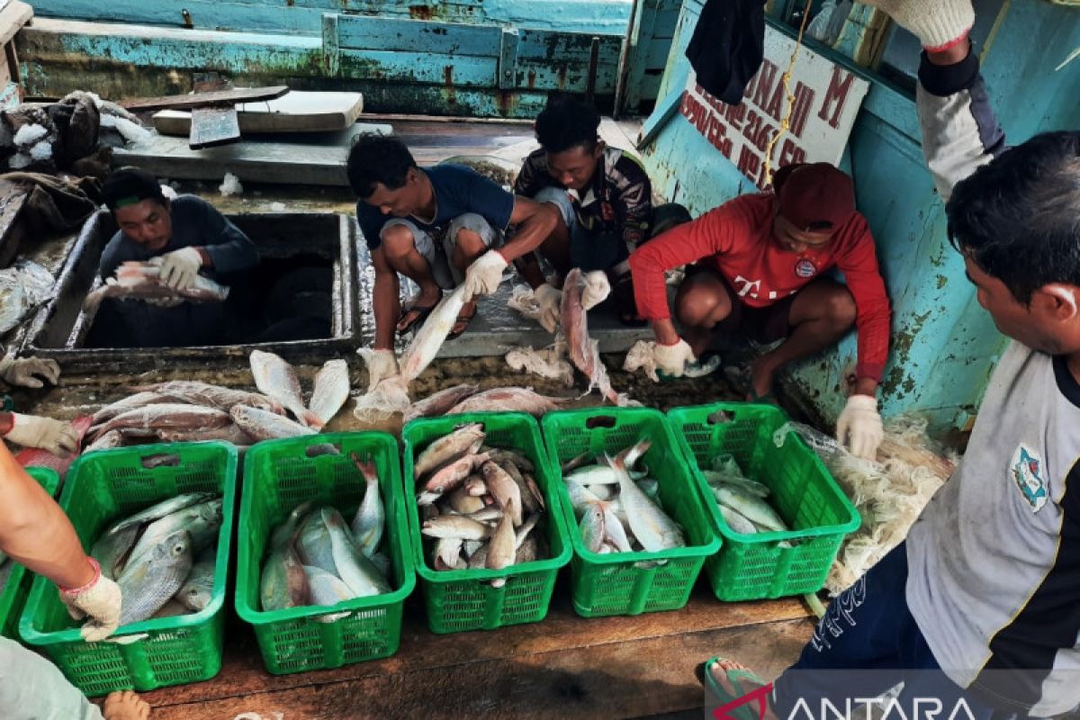 Nilai produksi perikanan tangkap Kepri capai Rp8,697 triliun