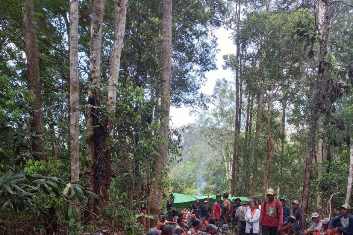 Sudah sepekan Alwi hilang di hutan Kekurak Badau batas RI-Malaysia