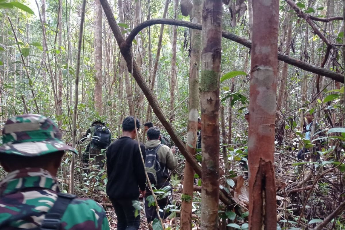 Satgas Pamtas RI-Malaysia di Badau menyisir hutan mencari Alwi