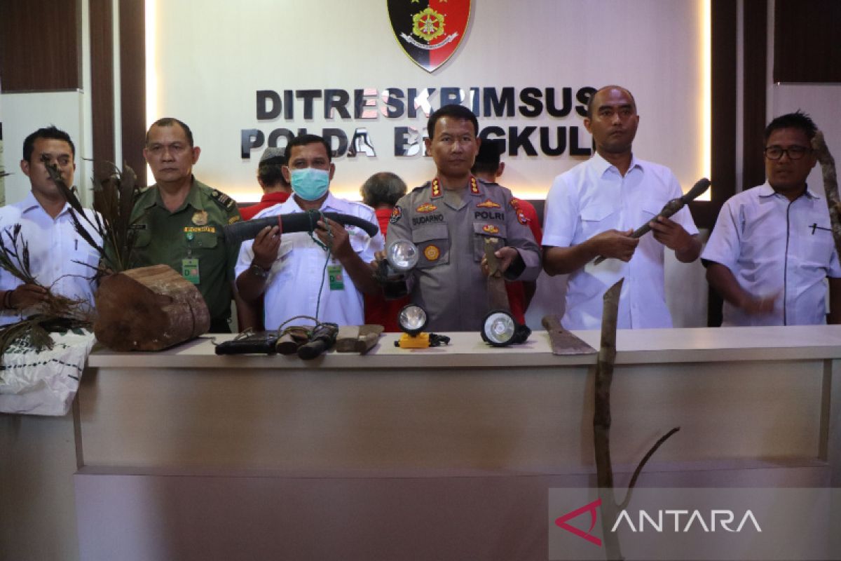 KLHK dan Polda Bengkulu tangkap tersangka perambah hutan TWA Seblat