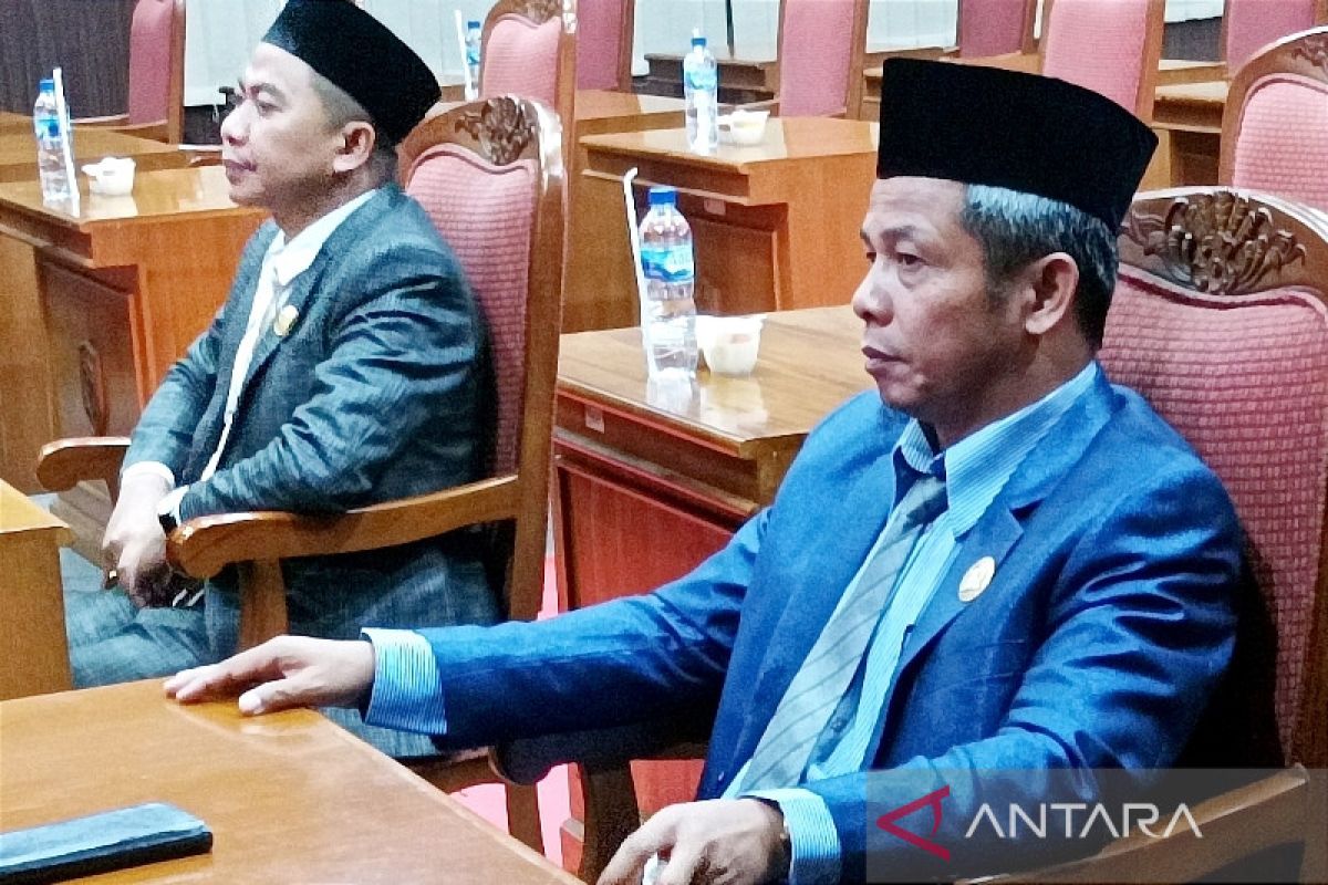 Legislator Kotim minta pemkab segera sosialisasikan larangan obat sirup