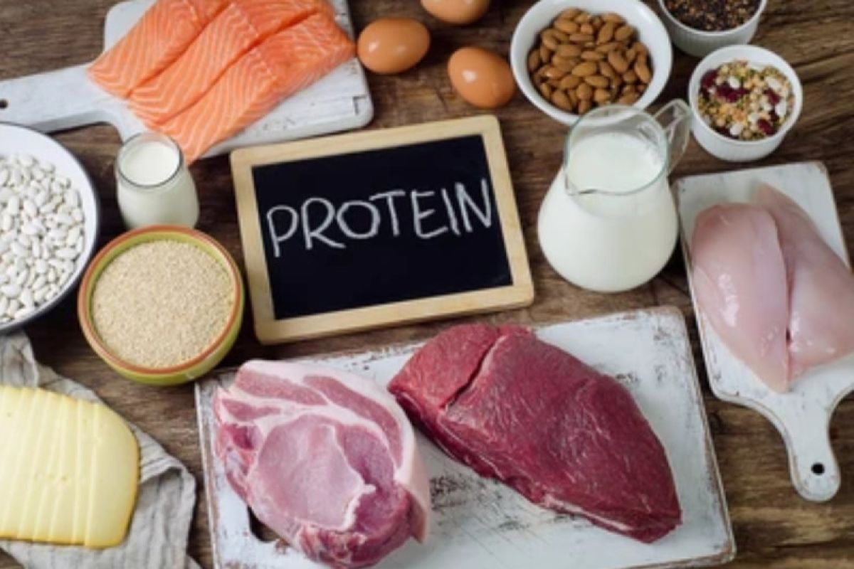 Enam masalah kesehatan yang bisa muncul jika terlalu banyak protein