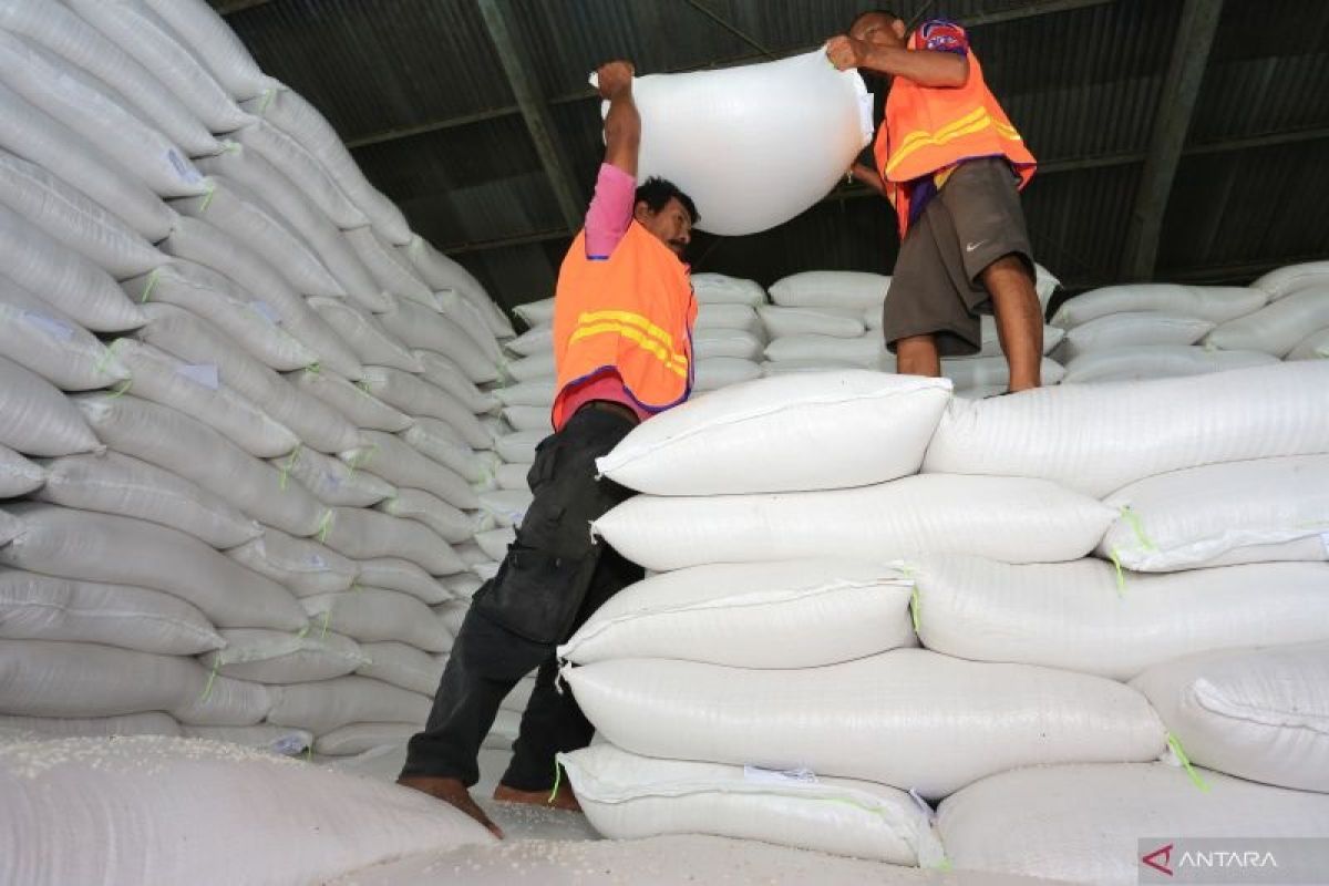 KTNA yakini perkiraan produksi beras 32 juta ton pada 2022 bakal tercapai