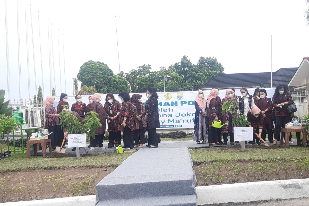 Di Jambi, Ibu Negara tanam pohon lengkeng dan Ibu Wury Ma'ruf menanam duku