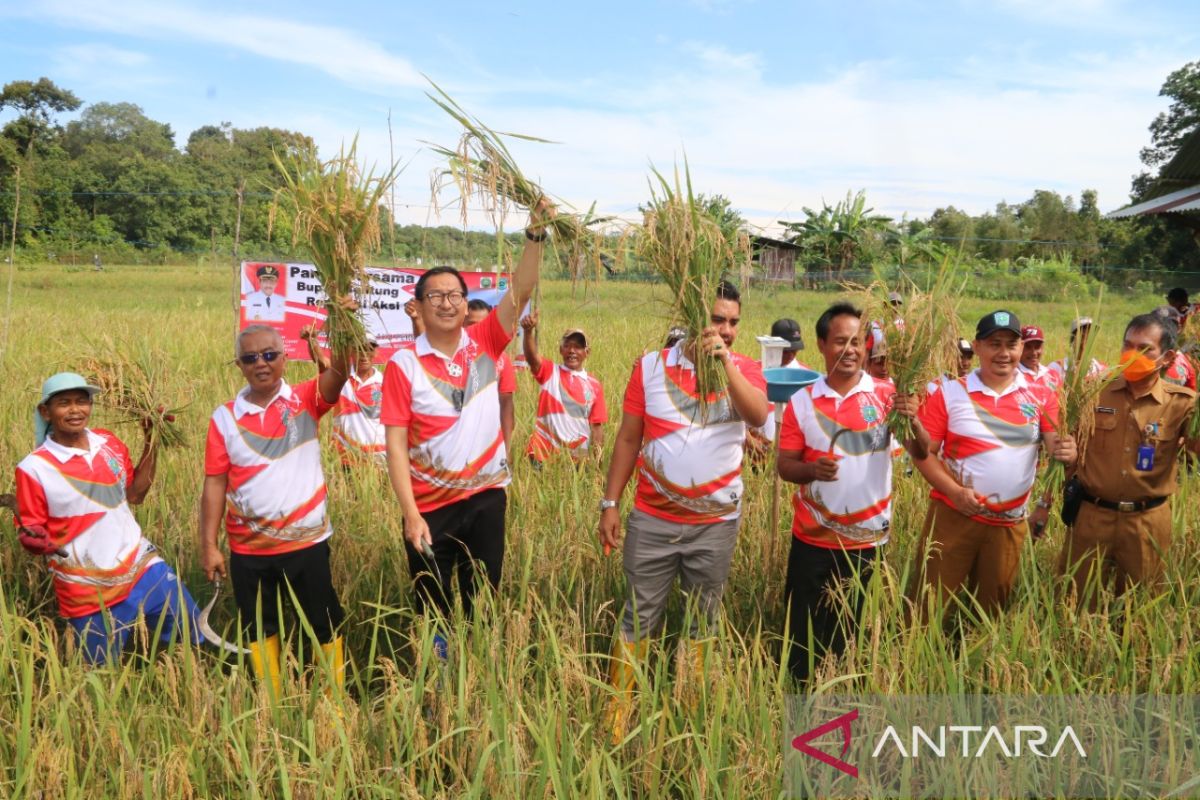 Belitung targetkan produksi padi tahun 2023 capai 2.960 ton