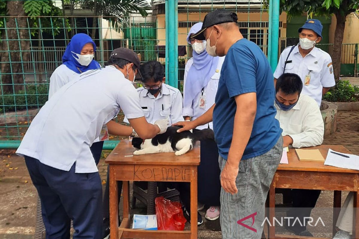 Sudin KPKP Jaksel kembali gelar vaksinasi rabies sejumlah kecamatan