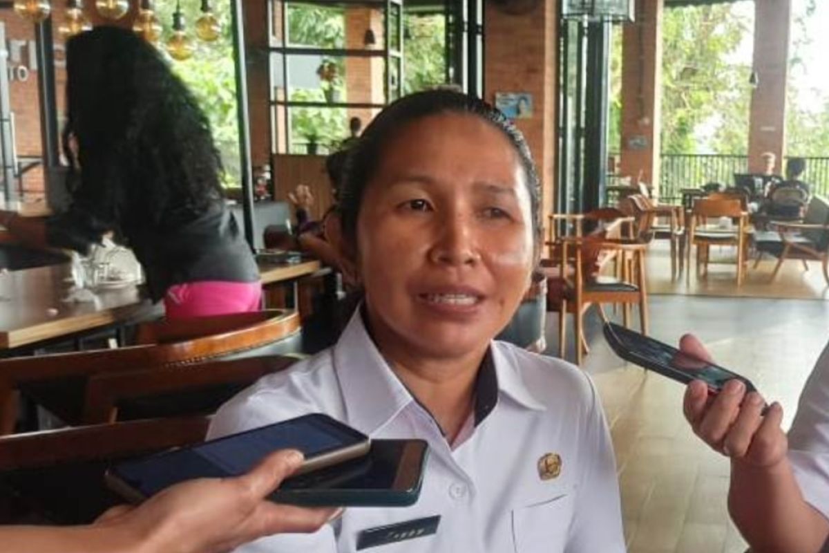 Kasus kekerasan anak di Ambon didominasi rudapaksa