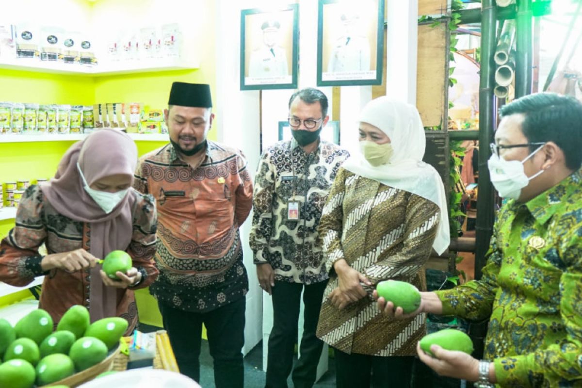 Khofifah: Jatim bisa diandalkan sebagai lumbung pangan nasional