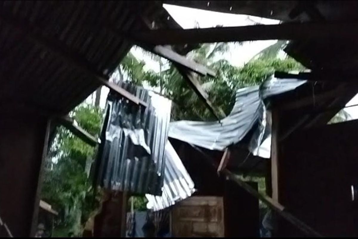 Tiga rumah di Aceh Timur rusak ditimpa pohon