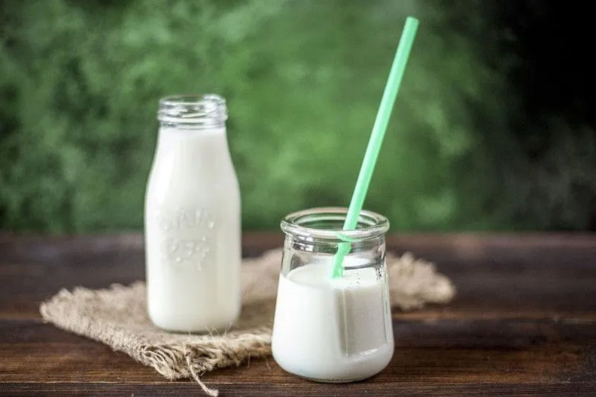 Salah pilih susu bisa bahayakan kesehatan anak