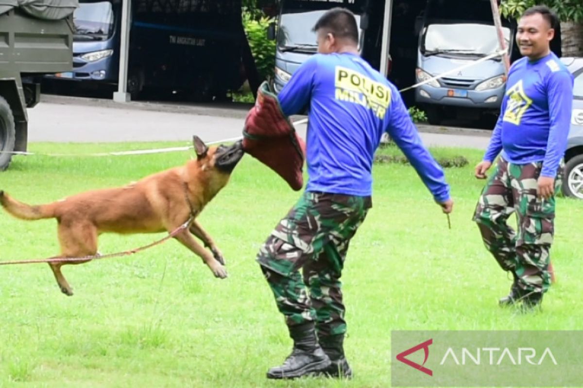 Pomal Lantamal VI beri pelatihan anjing pelacak K-9 bagi personelnya
