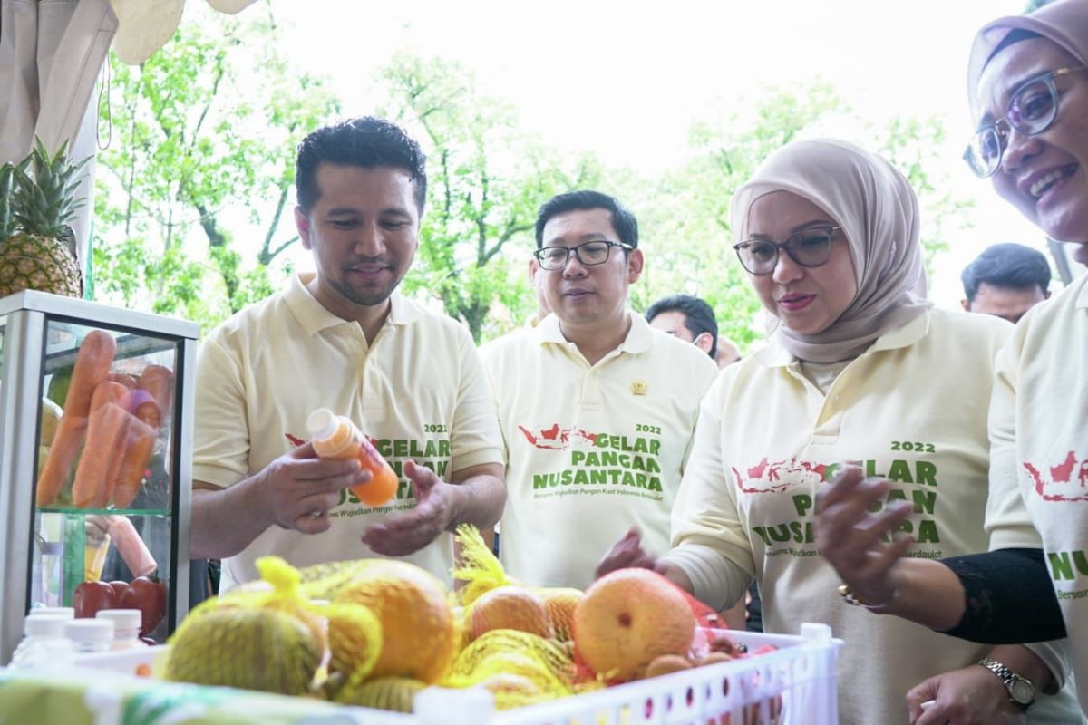 Emil Dardak harapkan GPN 2022 tingkatkan ketahanan pangan di Jatim