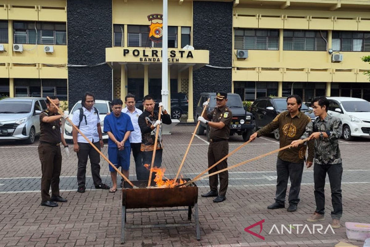 Polresta Banda Aceh musnahkan 12 bal ganja dari kasus di bandara SIM