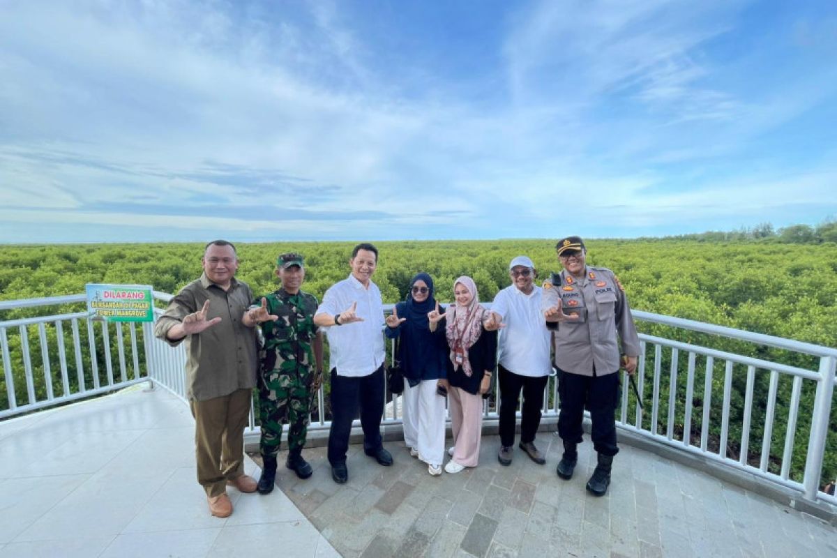 Pembangunan tower di hutan mangrove Langsa rampung 2023