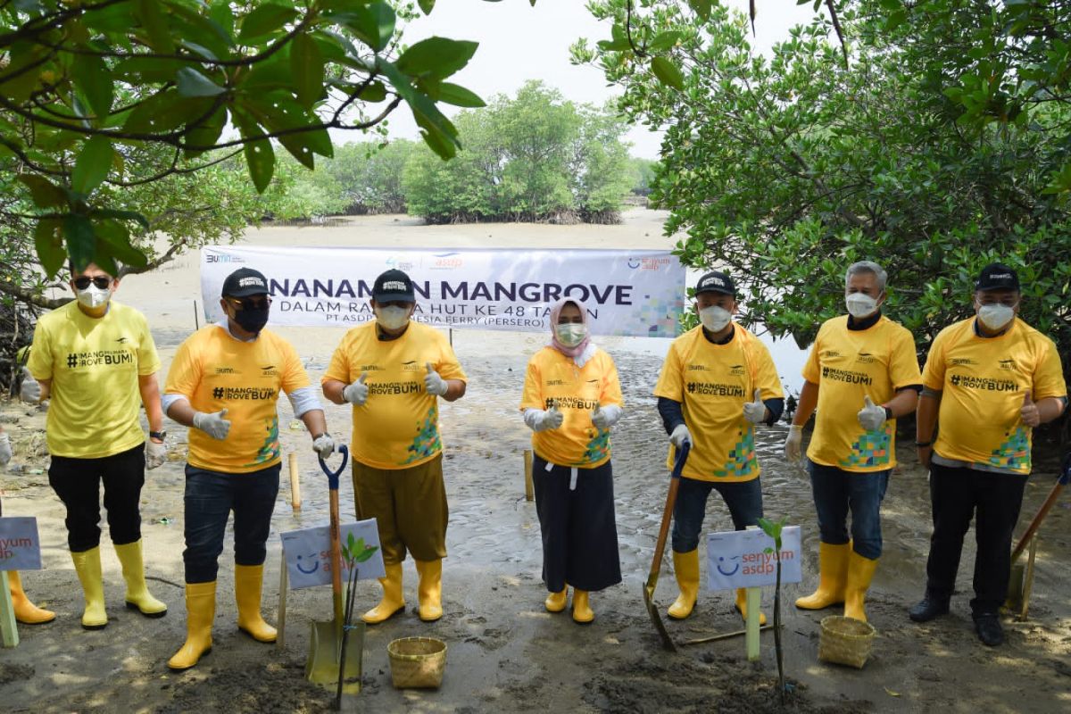 ASDP akselerasi program penanaman mangrove untuk tekan emisi karbon