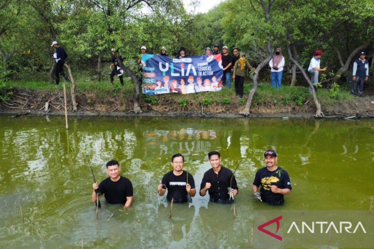 Millennials BUMN Surabaya Raya tanam ratusan pohon mangrove