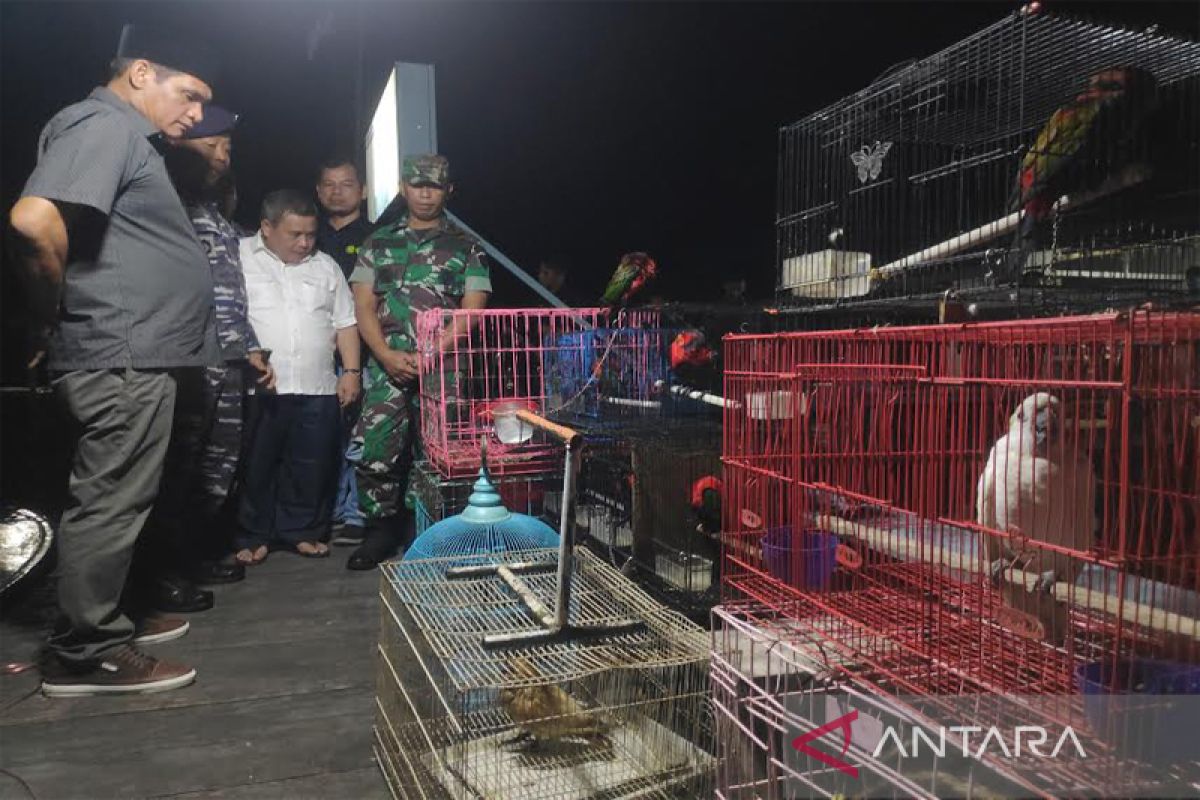 Penyelundupan puluhan satwa dilindungi berhasil digagalkan di Kalteng