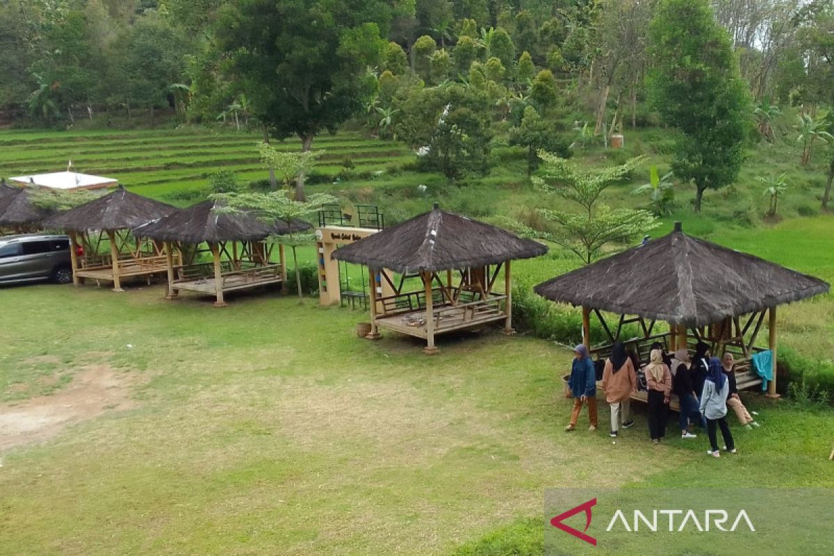 Mengangkat potensi kakao Kabupaten Madiun melalui Rumah Cokelat Bodag