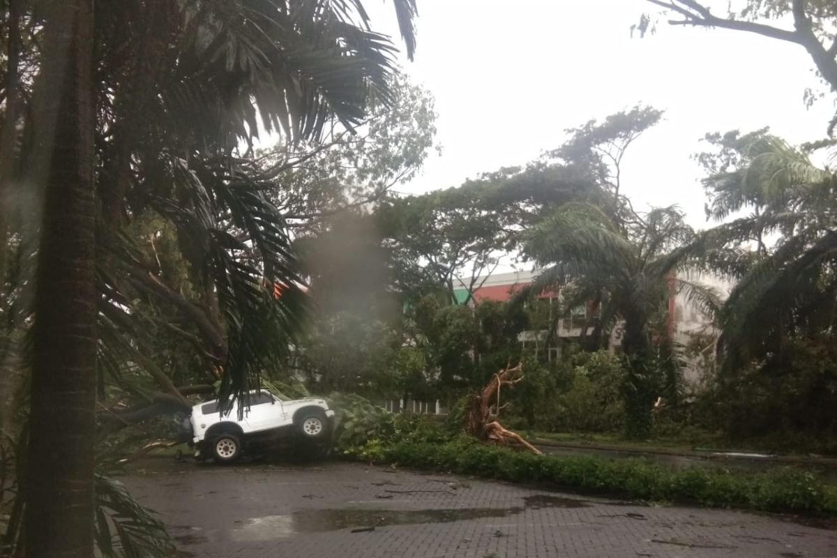 Diterjang angin kencang, sejumlah rumah di Sidoarjo rusak