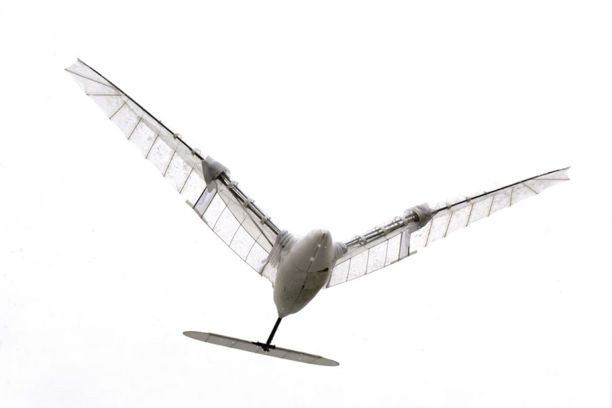 Universitas China pecahkan rekor durasi terbang ornithopter terlama