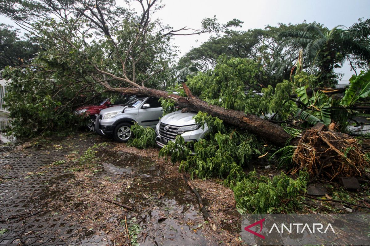 Dampak angin puting beliung di Sidoarjo