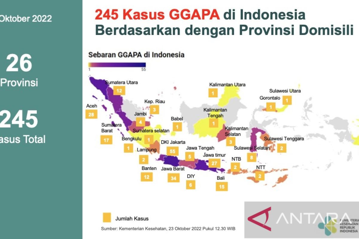 Kemenkes: Perlunya kewaspadaan dini untuk deteksi gangguan ginjal akut