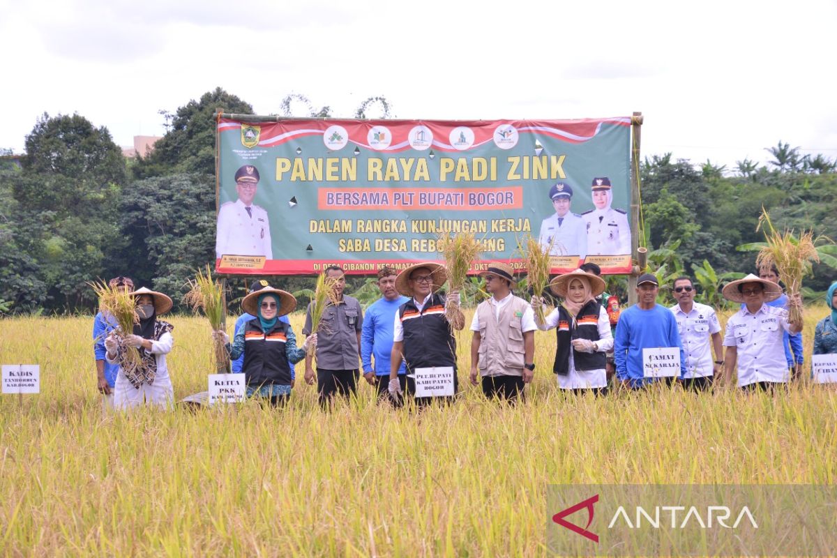 Pemkab Bogor maksimalkan sektor pertanian hadapi isu krisis pangan global