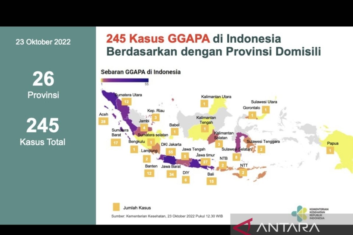 Kemenkes: 38 pasien gangguan ginjal akut dinyatakan sembuh