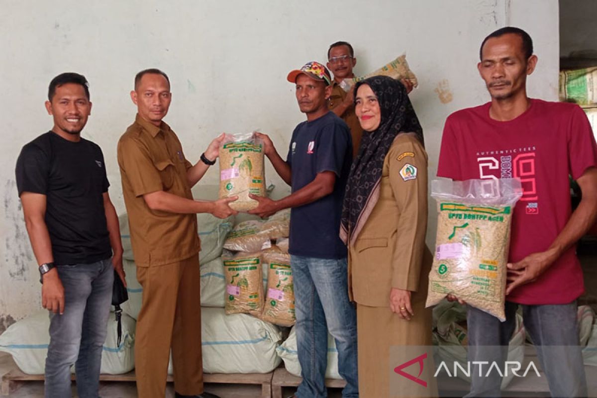 Pj Gubernur Aceh bantu satu ton benih padi bagi petani korban banjir