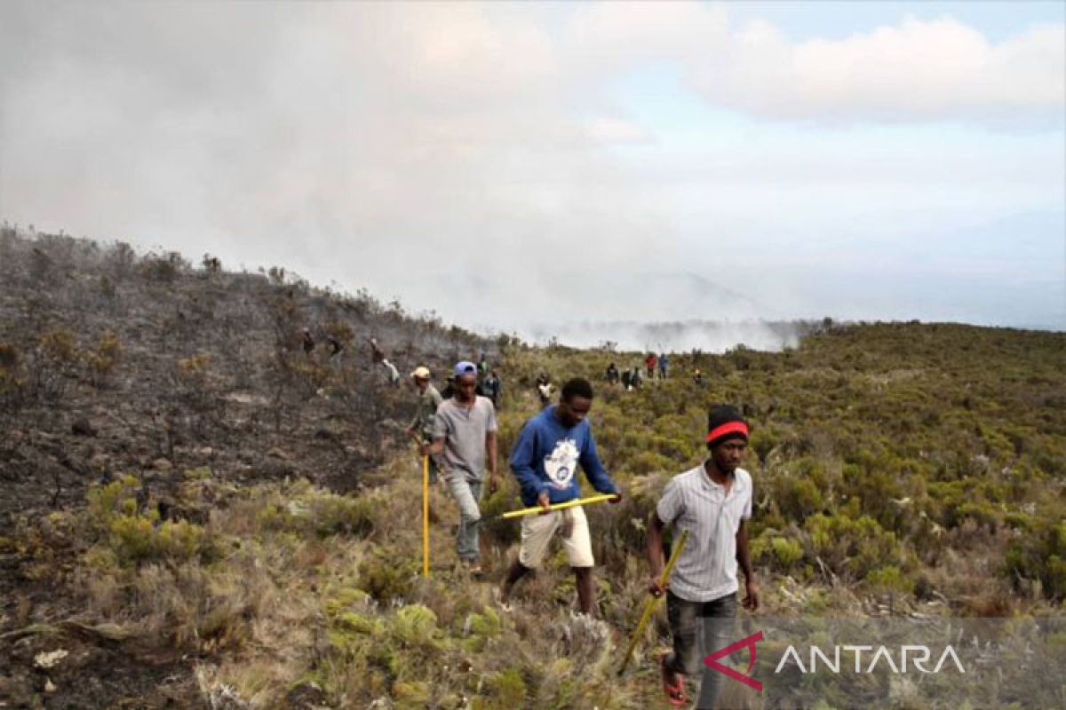 Gunung Kilimanjaro di Tanzania kebakaran