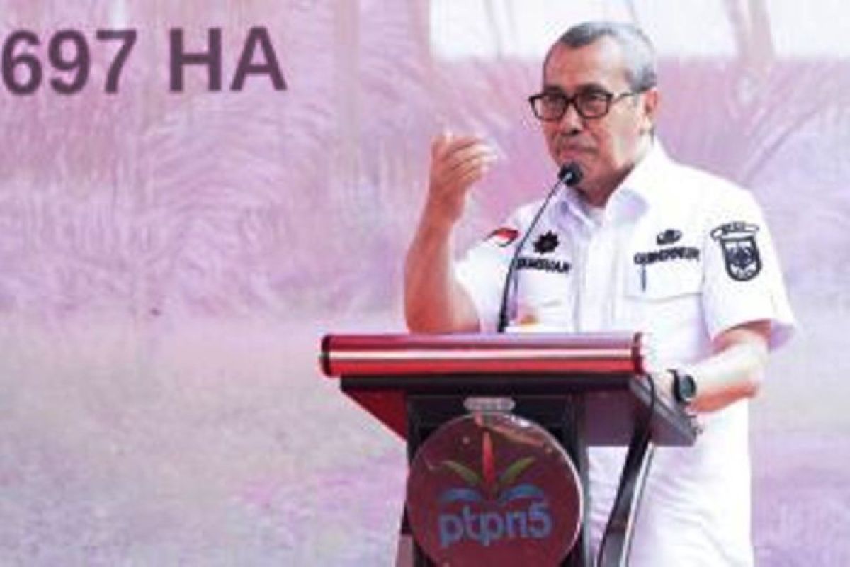 Gubernur Riau Syamsuar resmikan panen perdana sawit plasma di Rohul