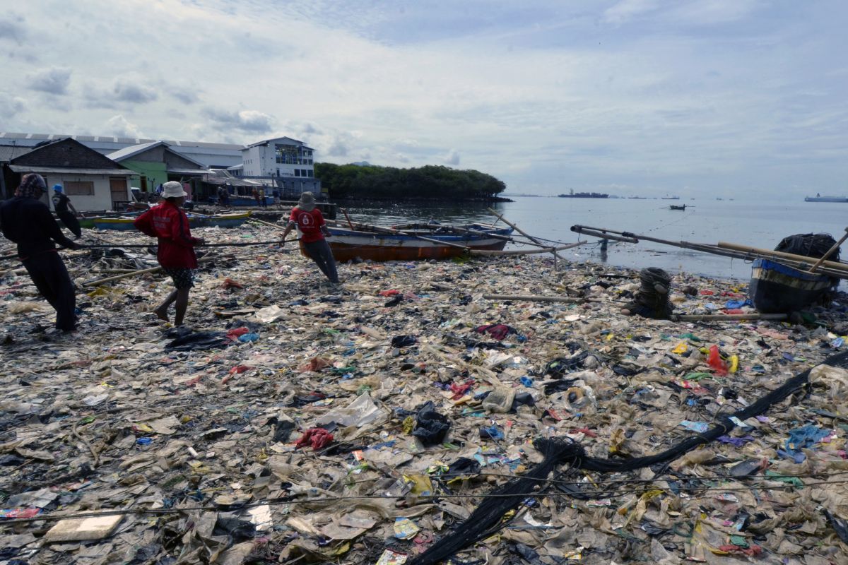 WCD Lampung dan komunitas adakan Clean up Kemerdekaan di Pantai Kabarti