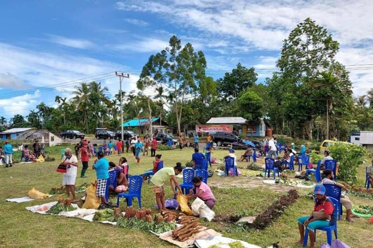 Dinas Pertanian Biak gencarkan pengendalian inflasi dengan ketahanan pangan