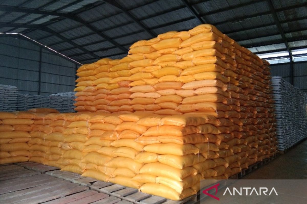 Bulog Sultra serap 19.000 ton beras petani