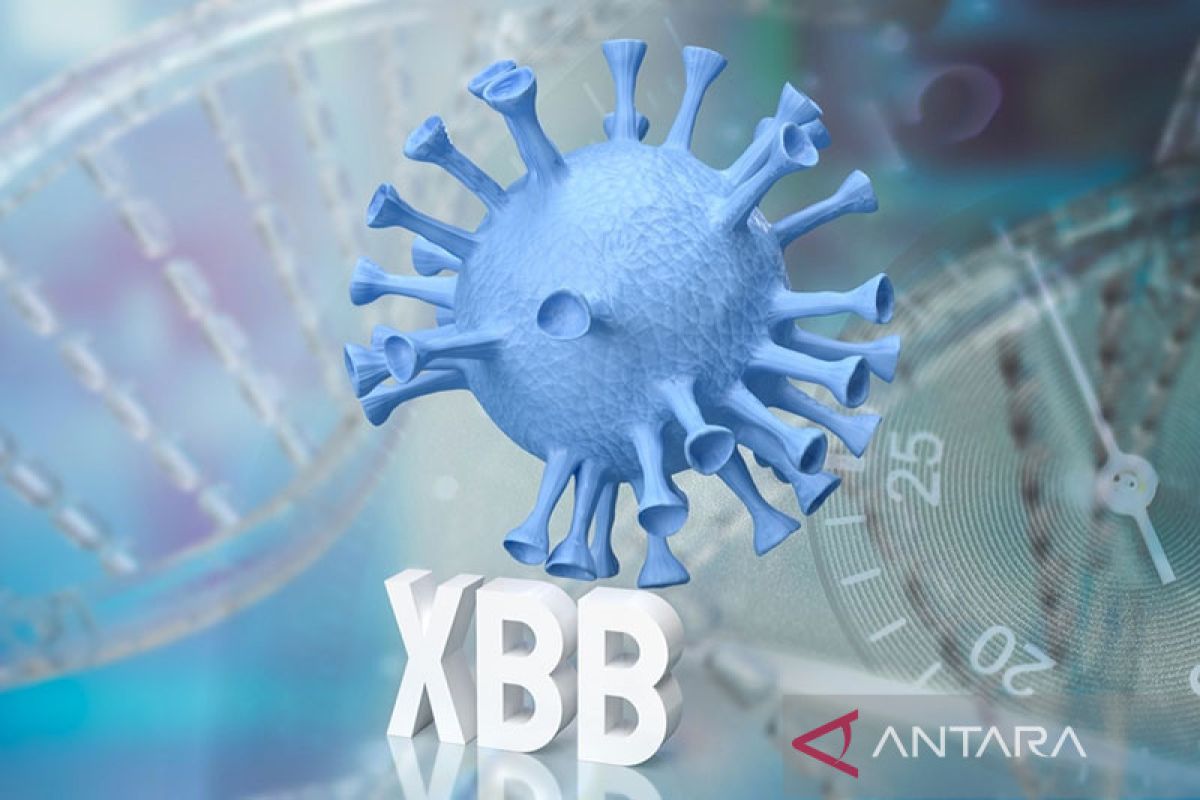 Dokter: COVID-19 subvarian Omicron XBB mampu kelabui antibodi