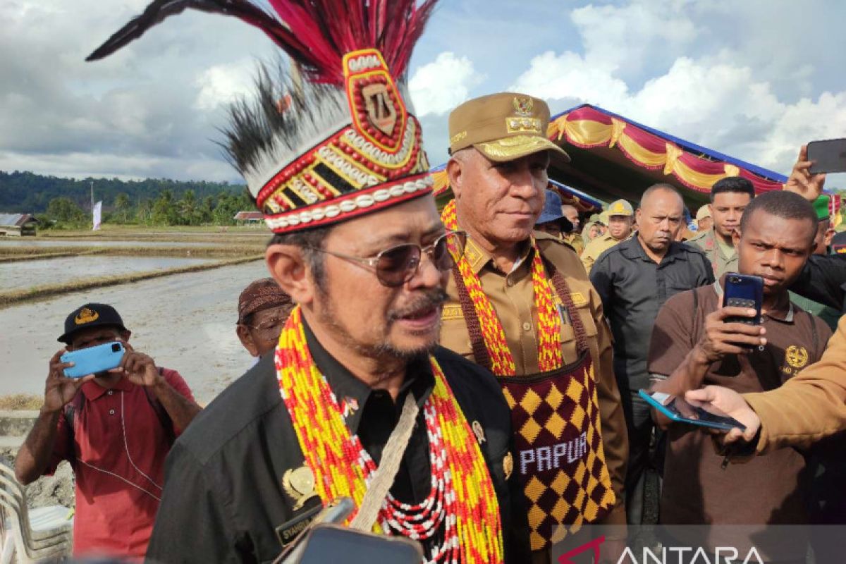 Mentan minta Papua Barat berkontribusi untuk pangan nasional