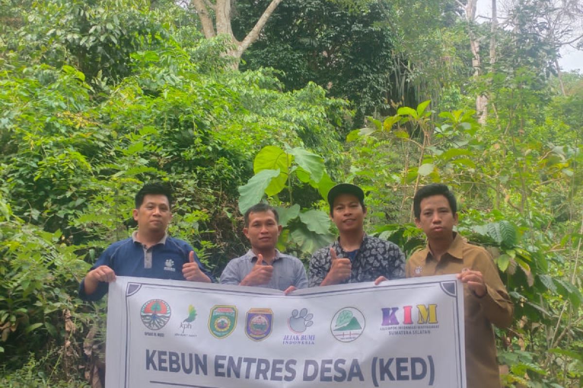 Jejak Bumi Indonesia kembangkan kebun entres di lima kabupaten di Sumsel