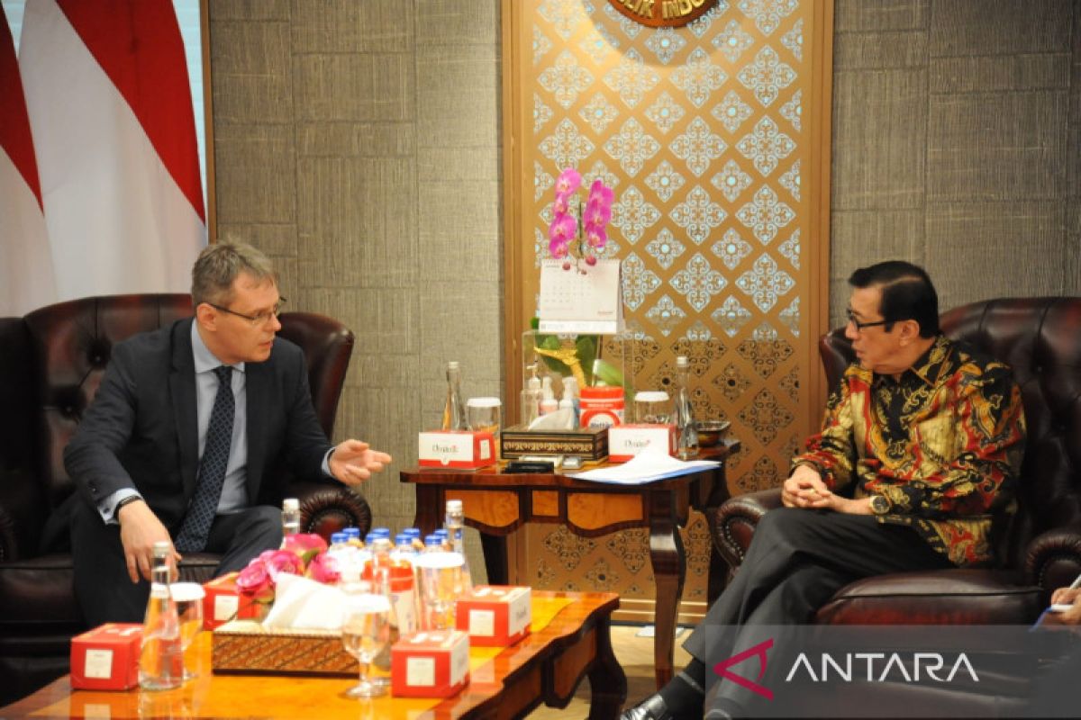 Czech Republic, Indonesia discuss cybercrime prevention