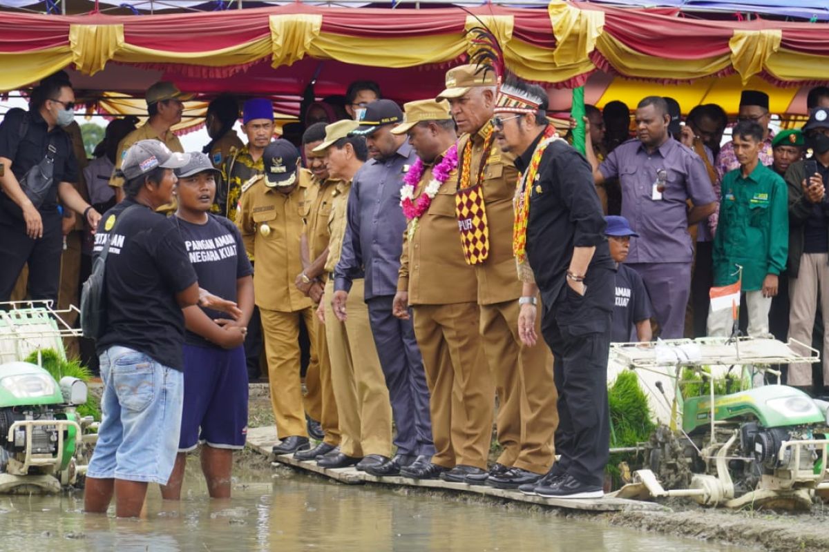 Mentan minta Papua Barat lestarikan sagu sebagai cadangan pangan