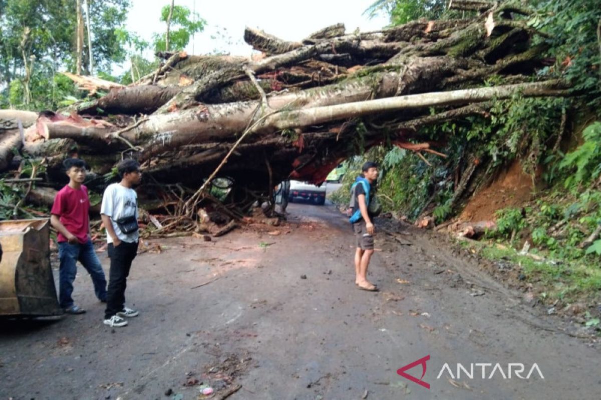 Tujuh kecamatan di Kepahiang rawan bencana