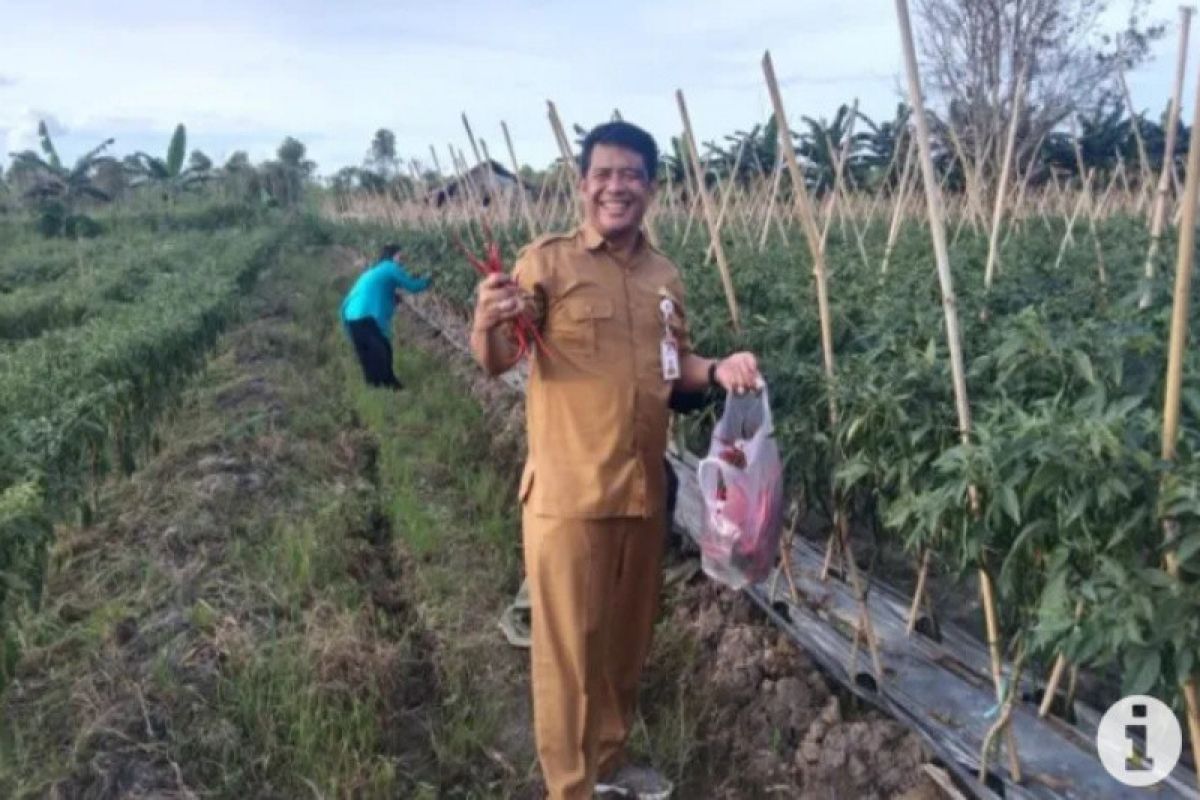 Pemkab Paser siapkan lahan hortikultura untuk kebutuhan IKN