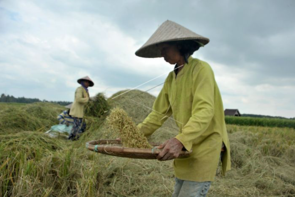 Gotong royong mendorong kemandirian pangan Sumsel